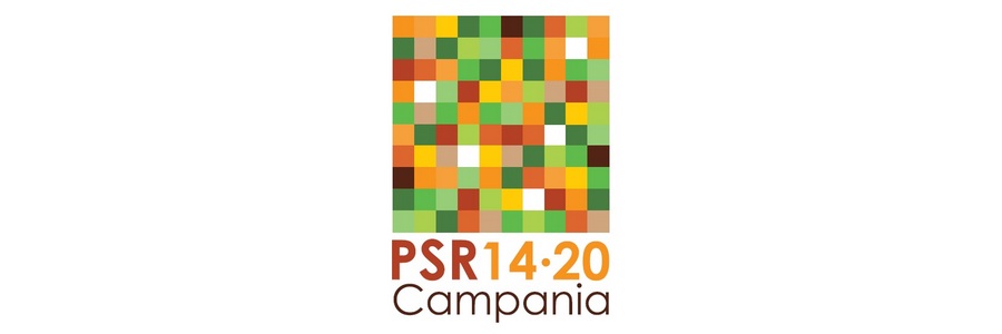 banner PSR 2014/2020