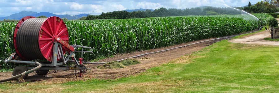 campi irrigati